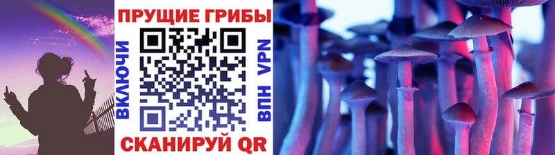 Псилоцибиновые грибы Cubensis Братск