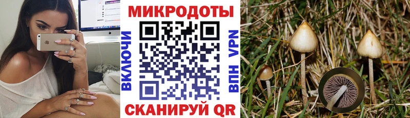 Псилоцибиновые грибы мухоморы Братск