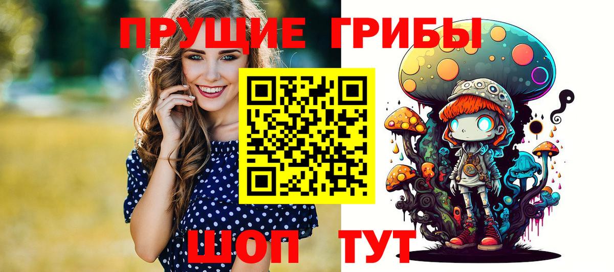 Псилоцибиновые грибы GOLDEN TEACHER Братск