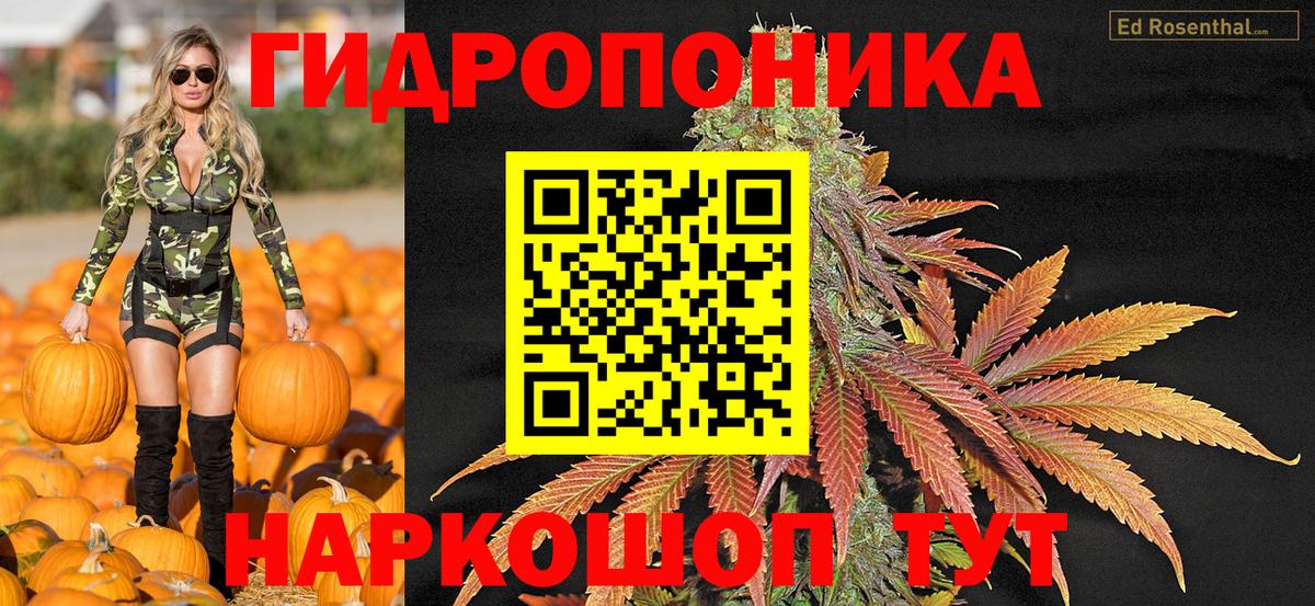 Братск  Бошки марихуана конопля  Бошки марихуана тримм  Бошки Шишки Amnesia  Вход с VPN 